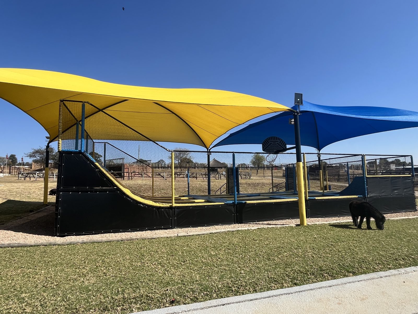 Trampoline